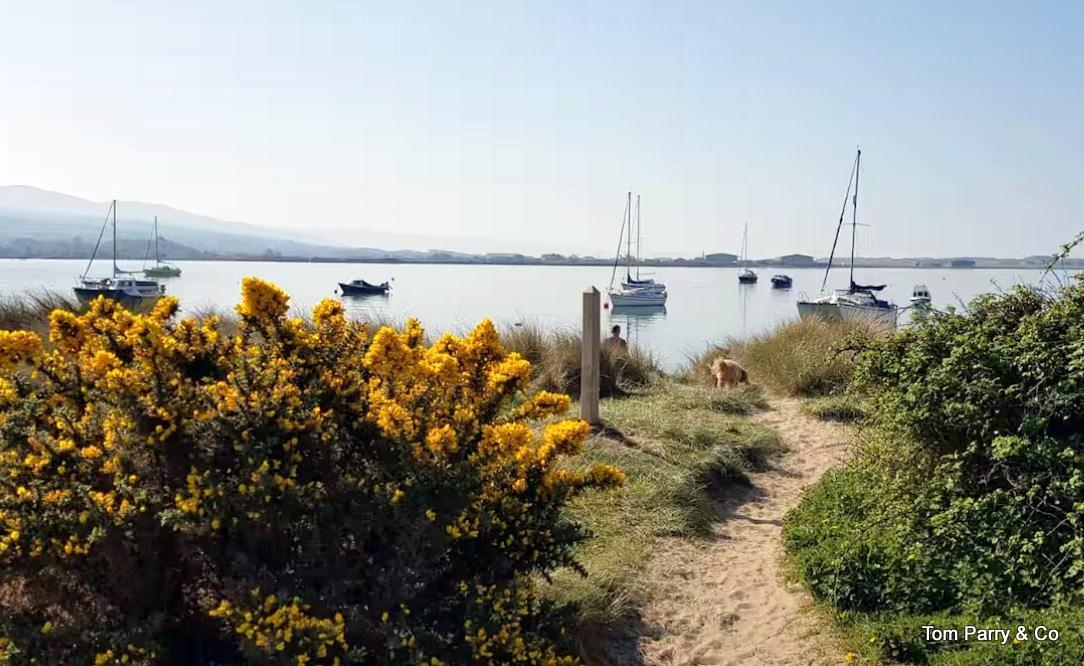 Estuary close to bungalow.jpg